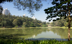 Parque da Aclimação