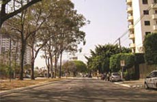 Avenida Paulo Faccini