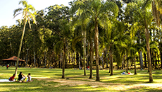 Parque do Carmo