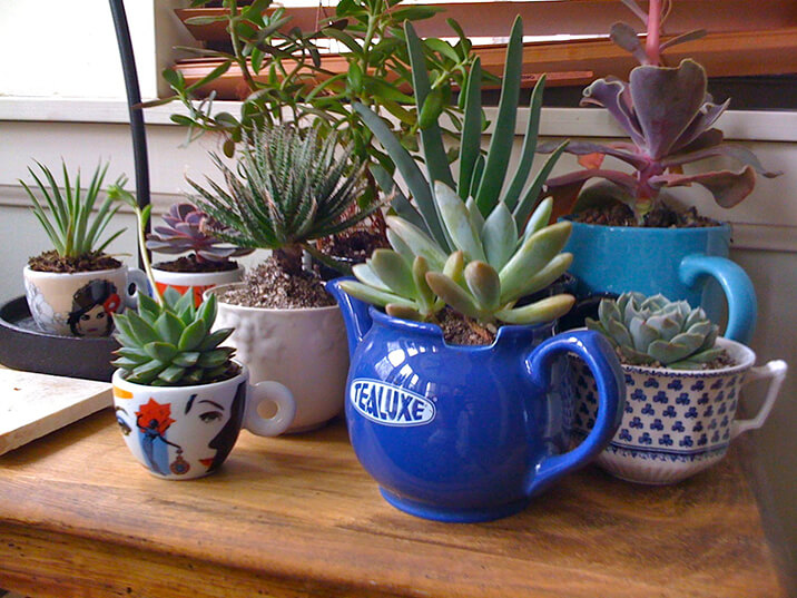 Canecas usadas como vasos para plantas