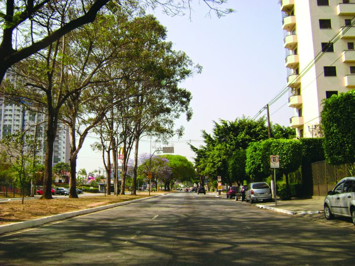 Avenida Paulo Faccini |Tibério Construtora 