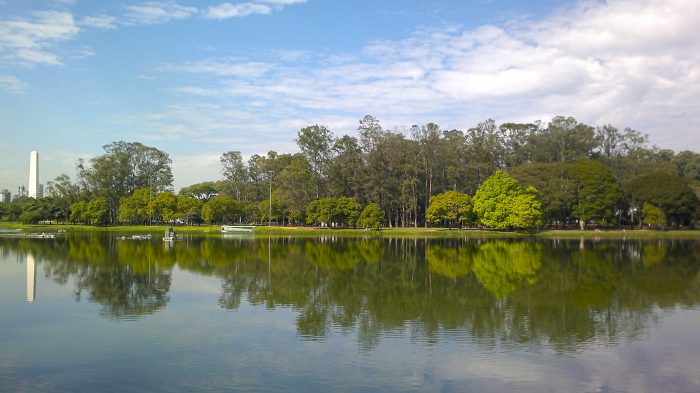 Parque Ibirapuera | Tibério Construtora