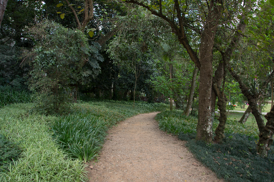 Parque Burle Marx | Tibério Construtora