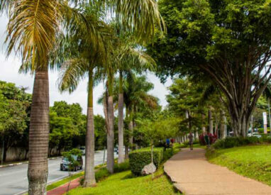 Avenida Braz Leme impulsiona desenvolvimento da Casa Verde