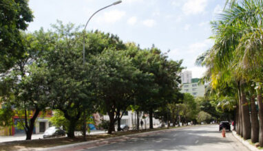 Santana oferece gastronomia diversificada e de alta qualidade