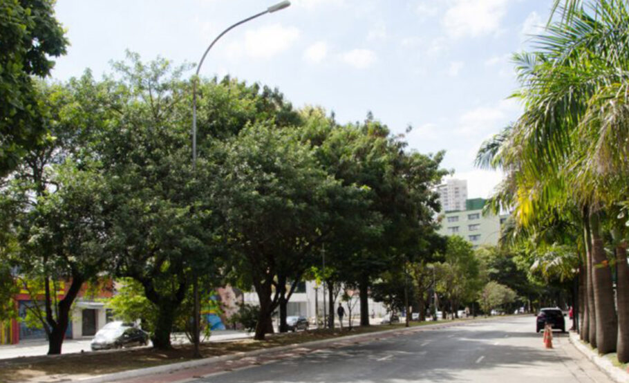 Santana oferece gastronomia diversificada e de alta qualidade