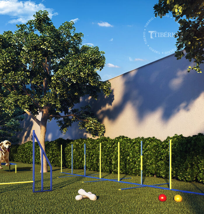 Dog Agility <br>Uso residencial. Perspectiva artística.