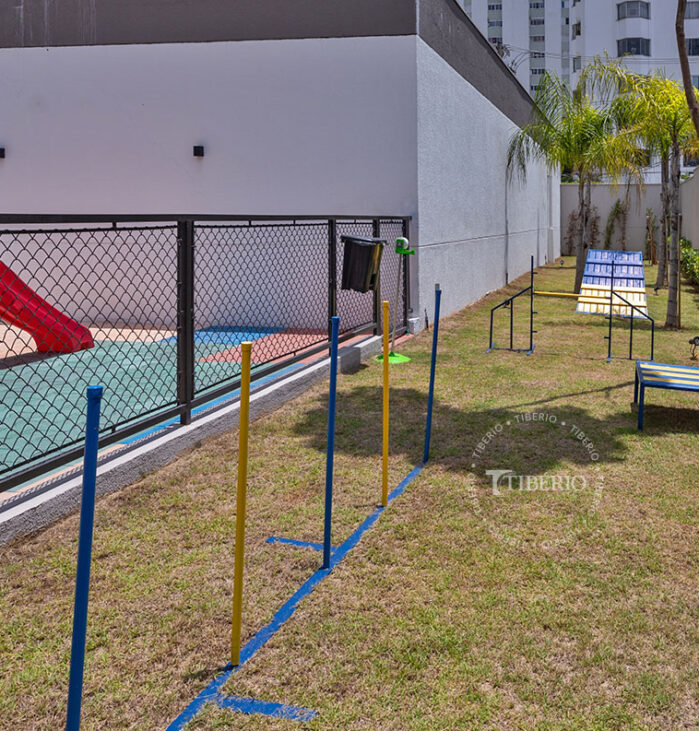Dog Agility. Uso residencial.