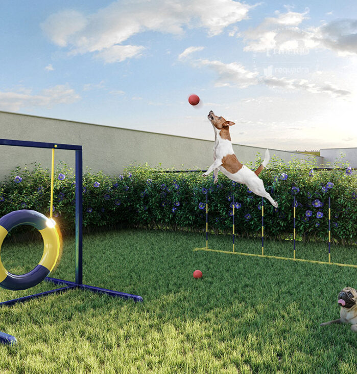 Pet Place <br> Perspectiva artística.