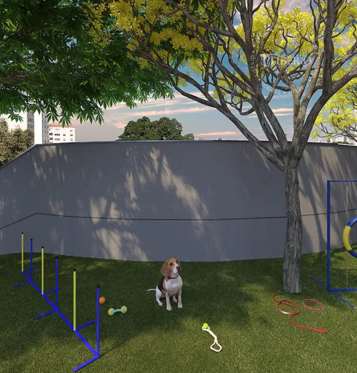 Pet Place <br> Perspectiva artística.