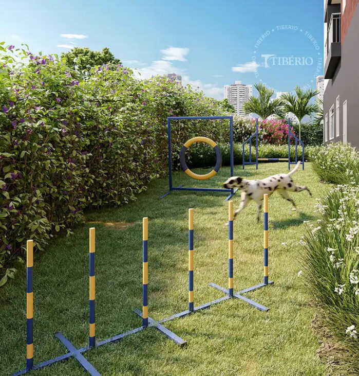 Pet Place <br> Perspectiva artística.