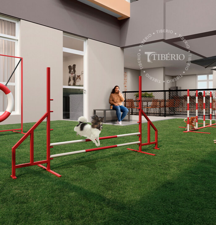 Pet place.<br>Perspectiva artística