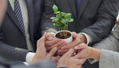 Tibério reduz 69% de geração de resíduos em obras com ações de sustentabilidade