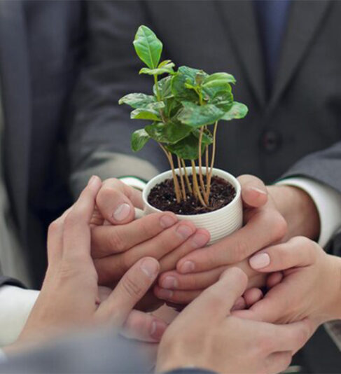 Tibério reduz 69% de geração de resíduos em obras com ações de sustentabilidade